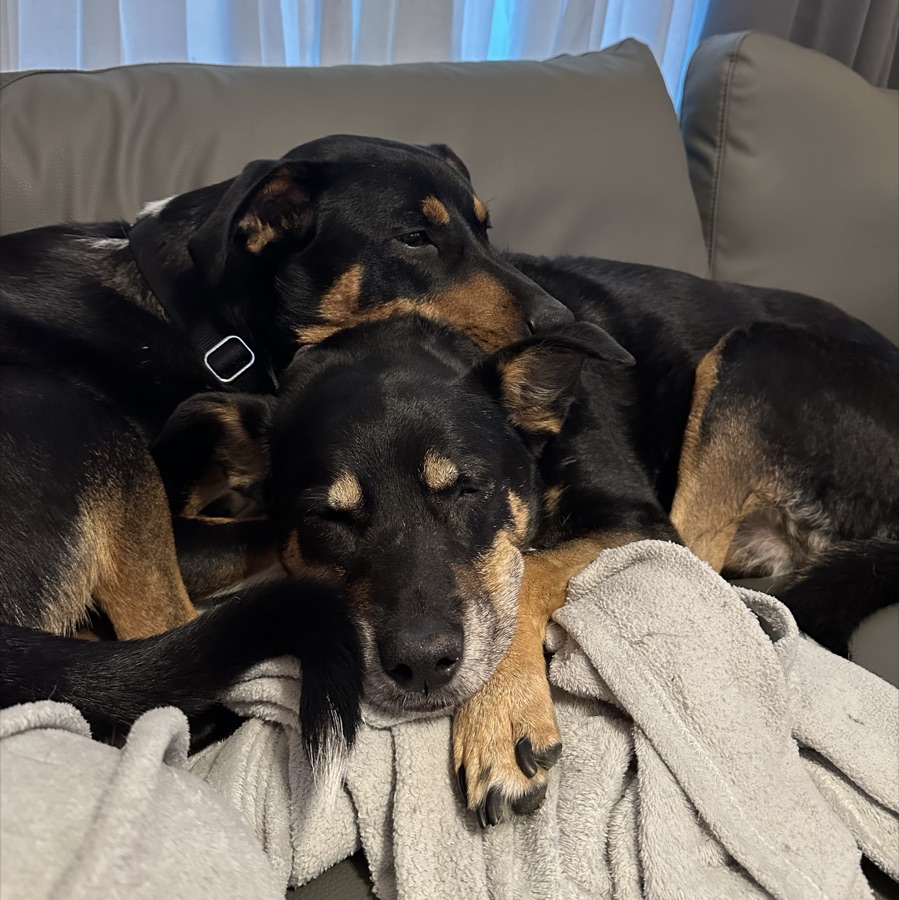 Peyton resting with Joey cuddled up beside her